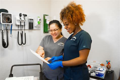 medical assistant program gainesville|Clinical Medical Assistant Certificate (Hybrid/Gainesville).